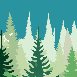 KI_Bay_SF_34dac38ed7