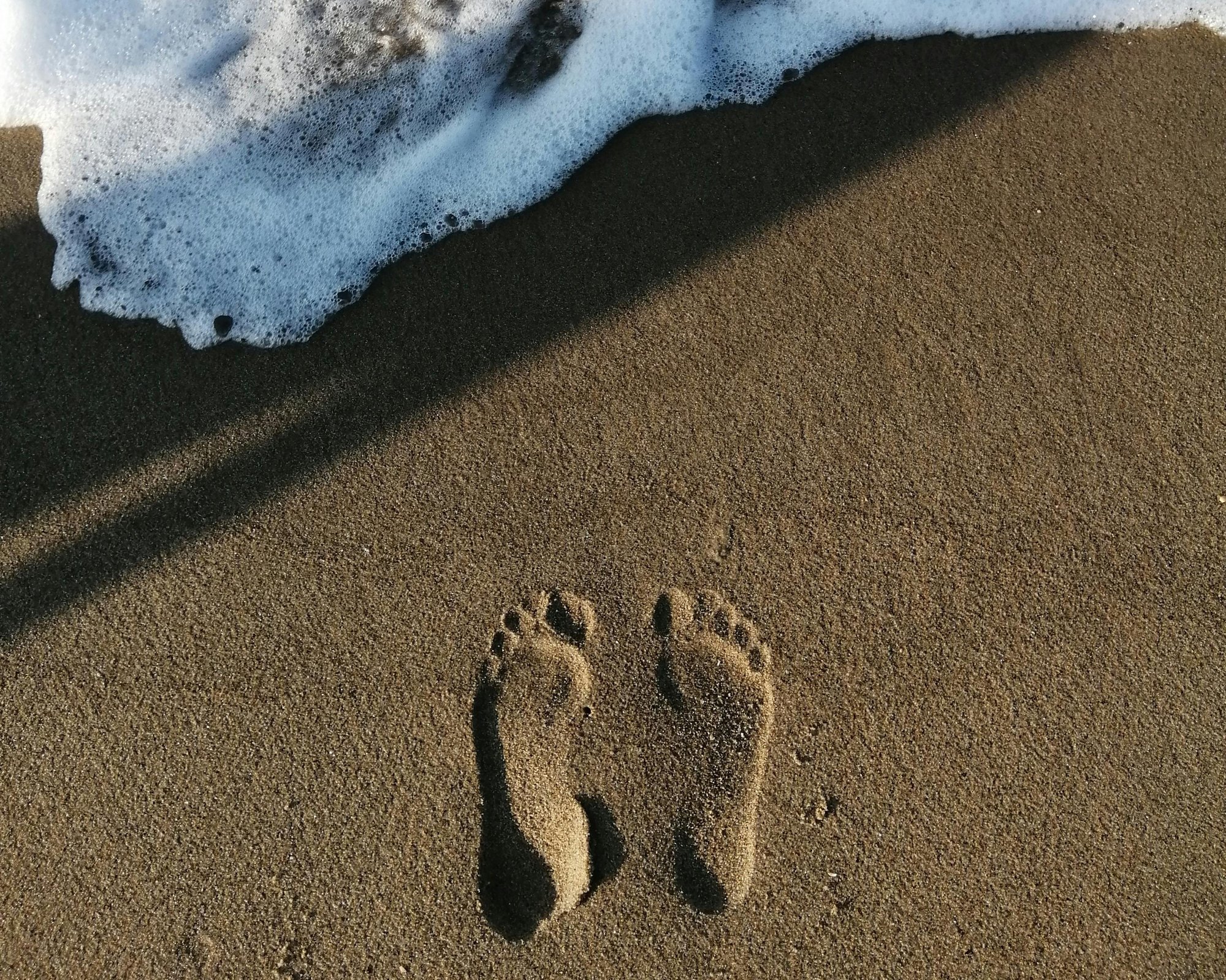 pexels-juicy-juice-32566149-9211695