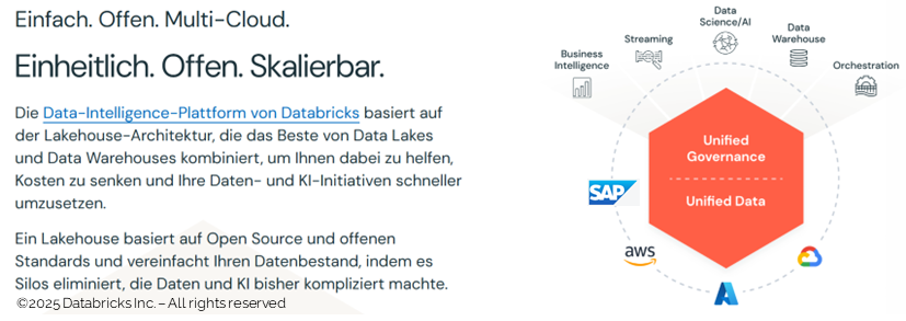 Databricks-Plattform