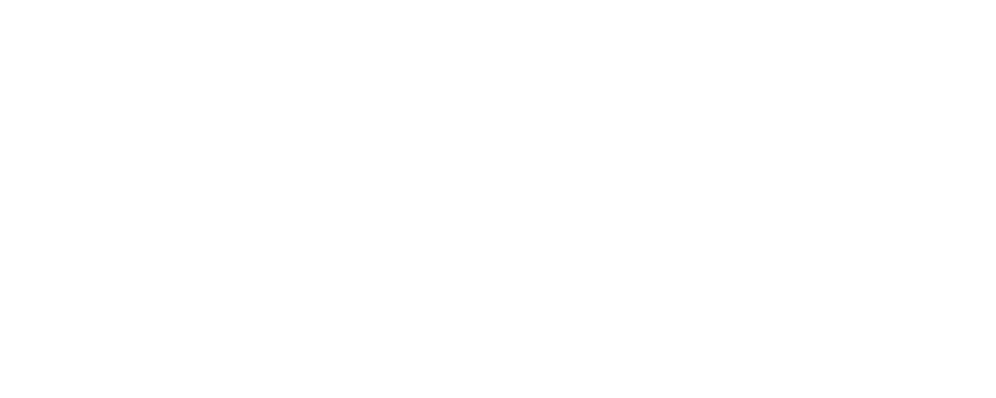 customer_Bits_and_Vision_e6111e9a4e
