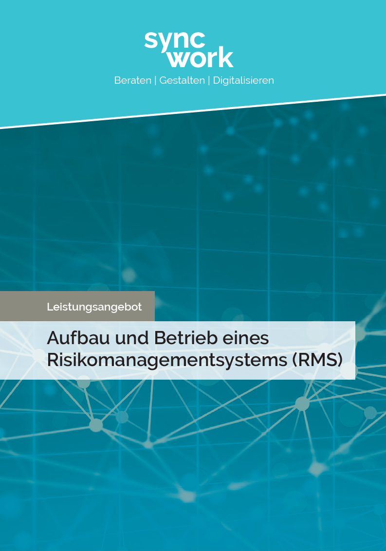 Cover des Leistungsangebotes zum Thema Risikomanagementsystem