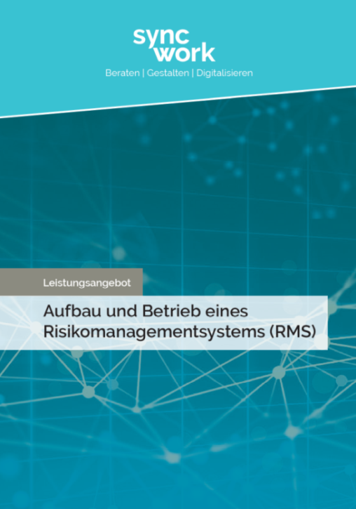 Cover des Leistungsangebotes zum Thema Risikomanagementsystem