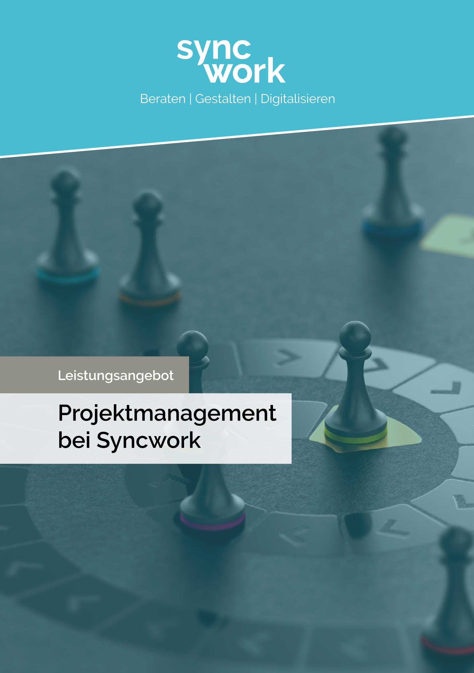 publikation_leistungsangebot_broschuere_Projektmanagement_Seite_1